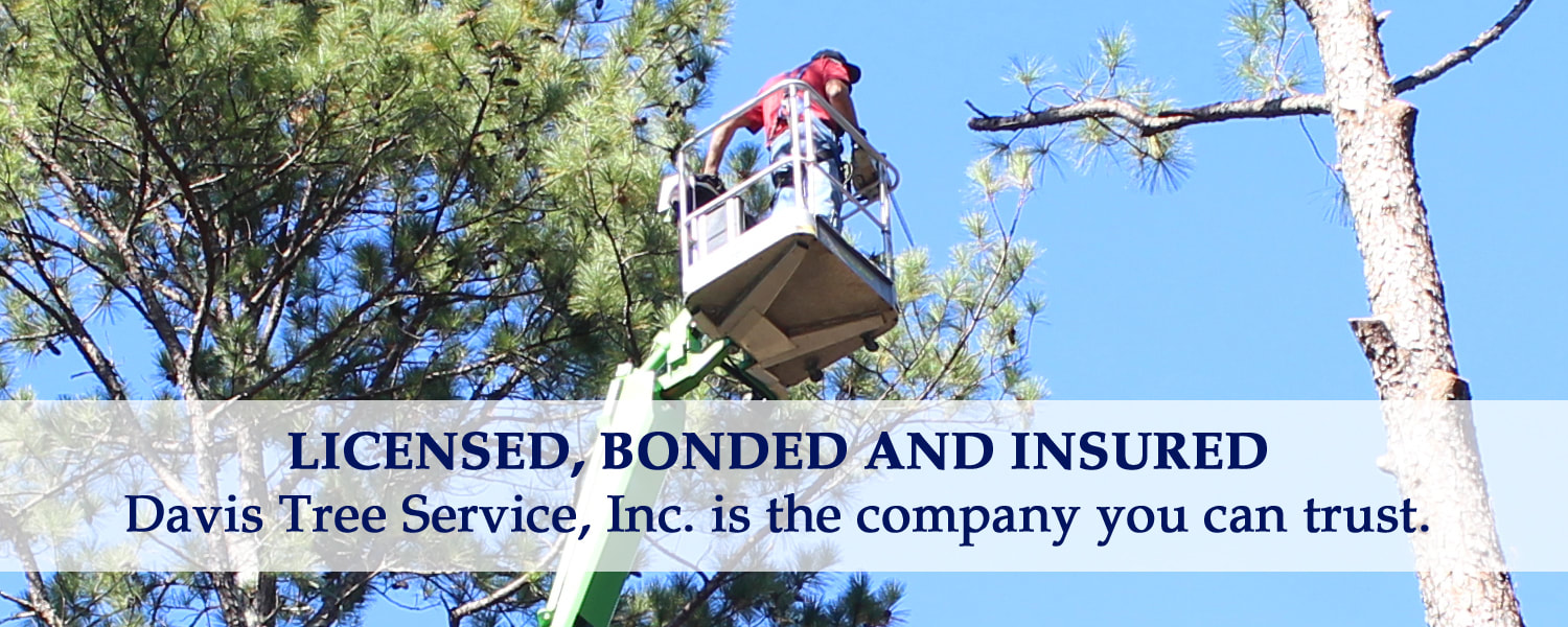 Davis Tree Service is Licensed Bonded and Insured The company you can trust! Serving Northwest Alabama